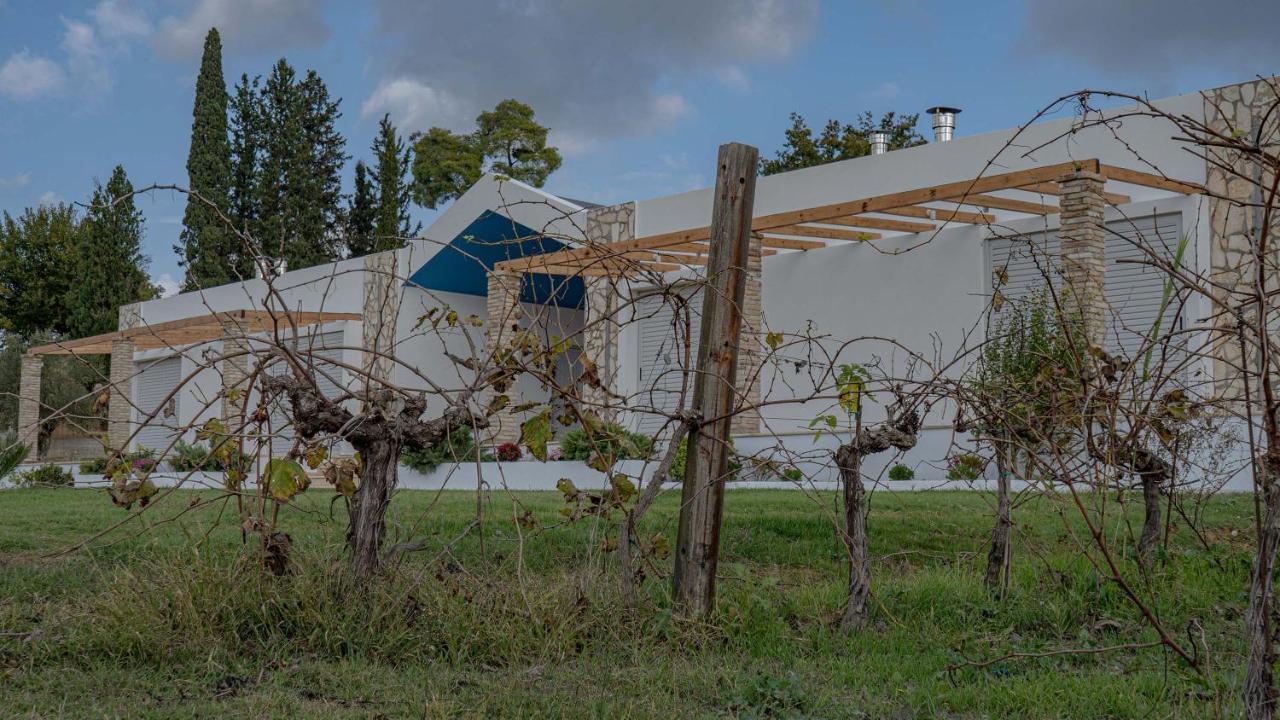 Atrium Vinea Brintziki Winery Apartment Smila Luaran gambar