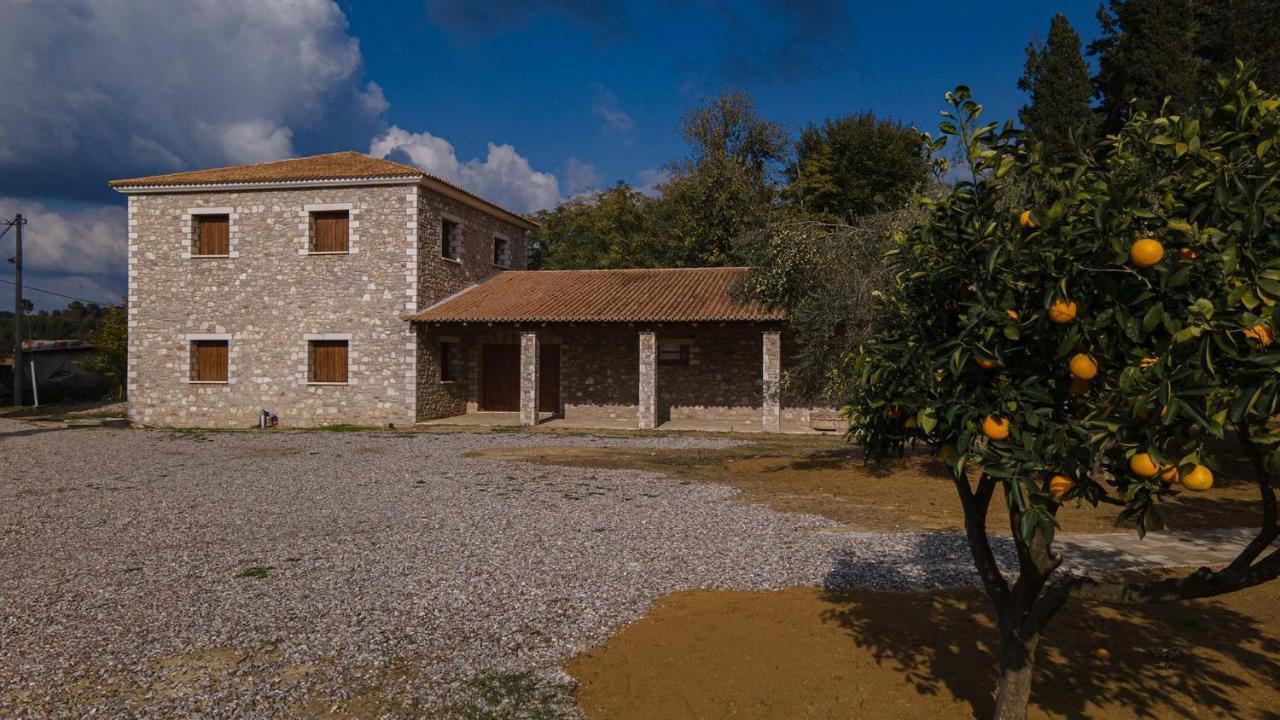 Atrium Vinea Brintziki Winery Apartment Smila Luaran gambar