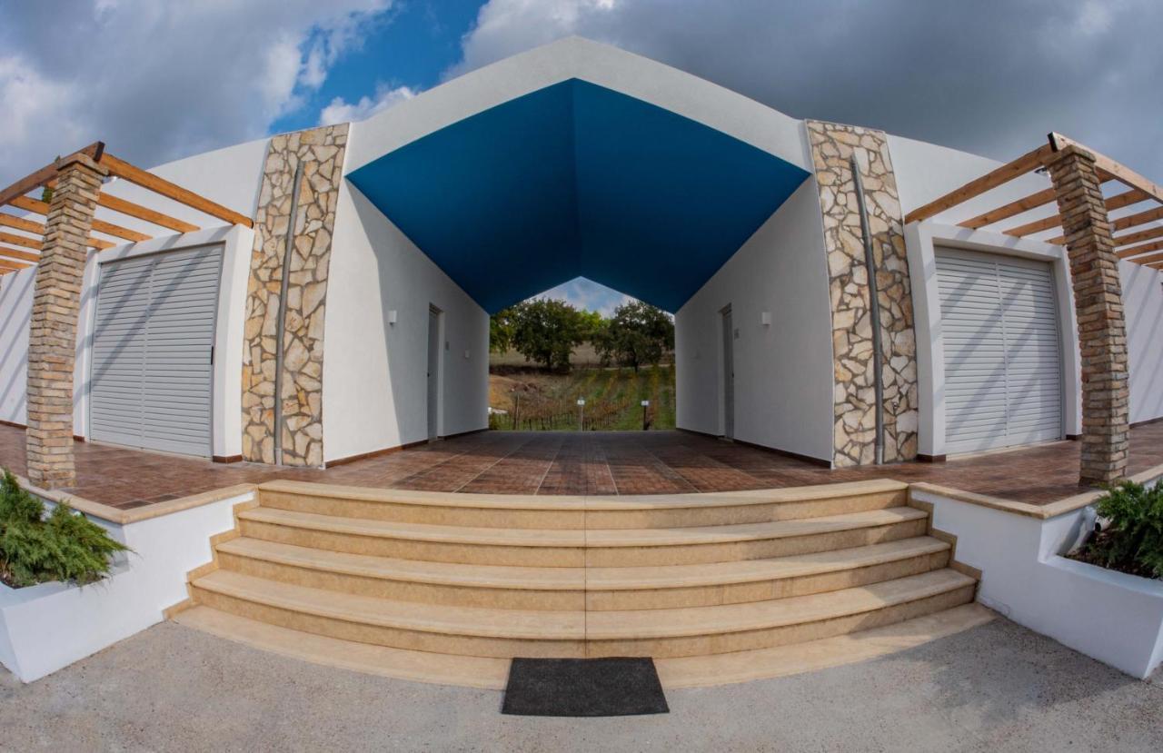 Atrium Vinea Brintziki Winery Apartment Smila Luaran gambar