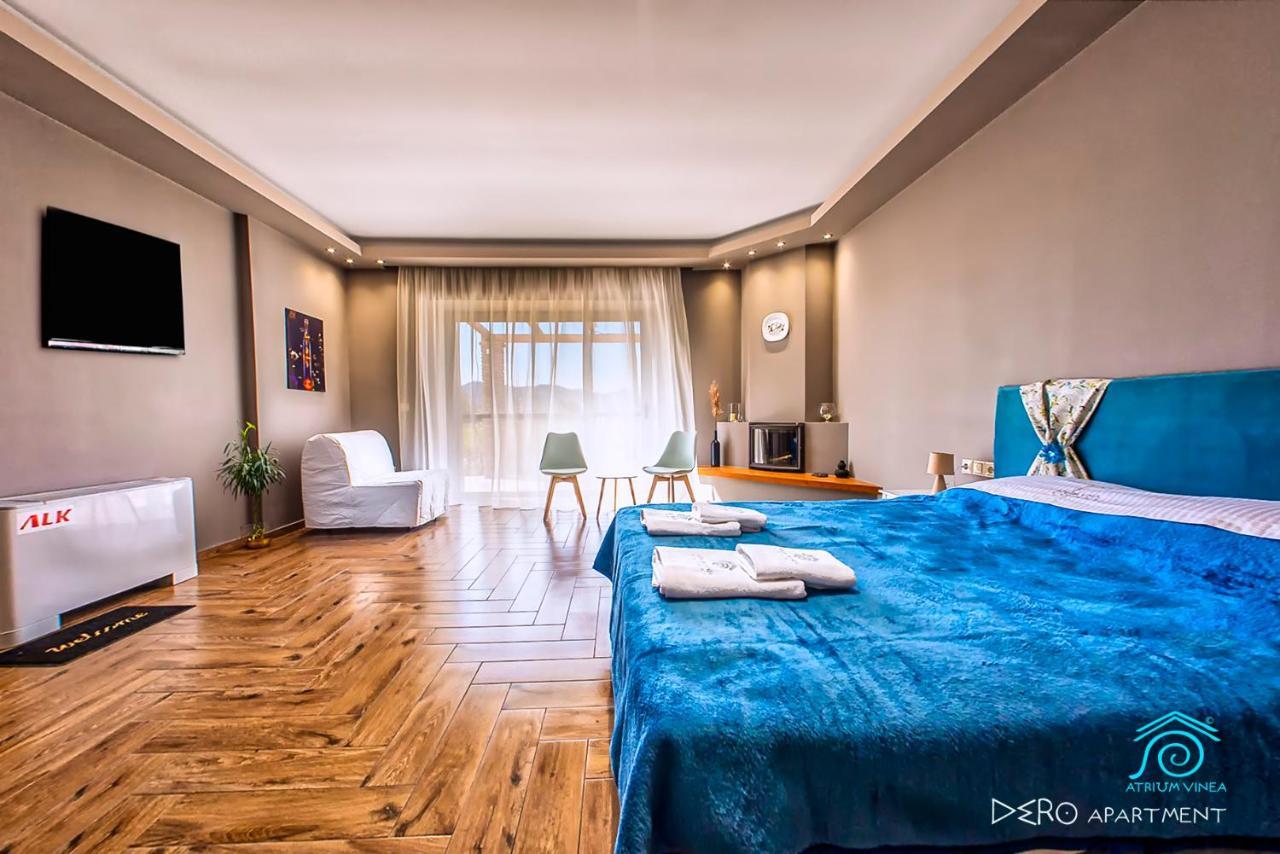 Atrium Vinea Brintziki Winery Apartment Smila Luaran gambar