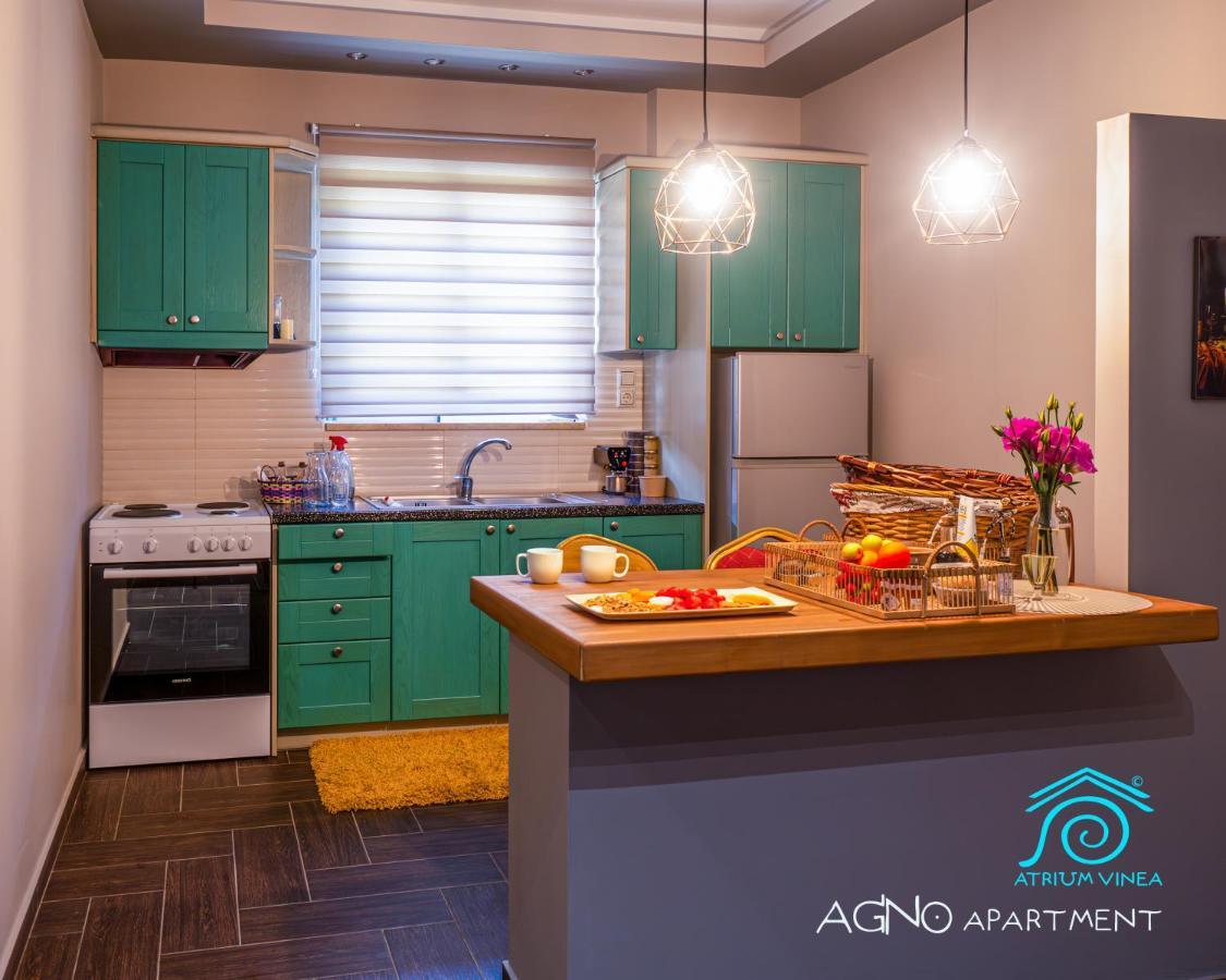 Atrium Vinea Brintziki Winery Apartment Smila Luaran gambar