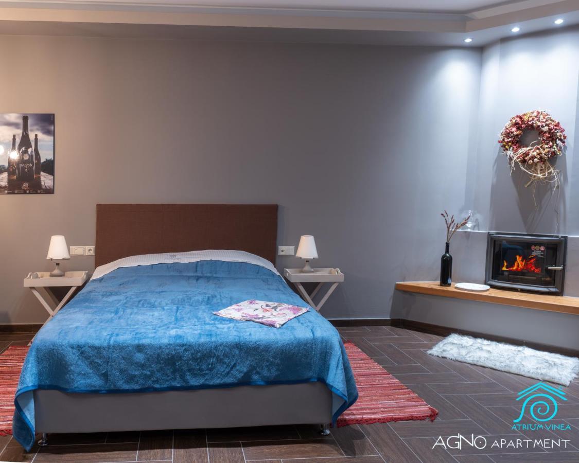 Atrium Vinea Brintziki Winery Apartment Smila Luaran gambar