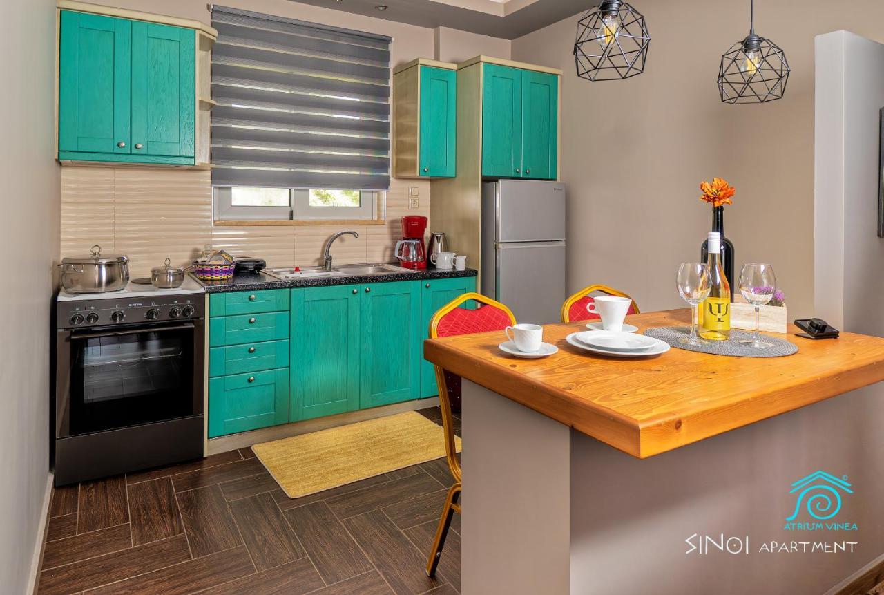 Atrium Vinea Brintziki Winery Apartment Smila Luaran gambar