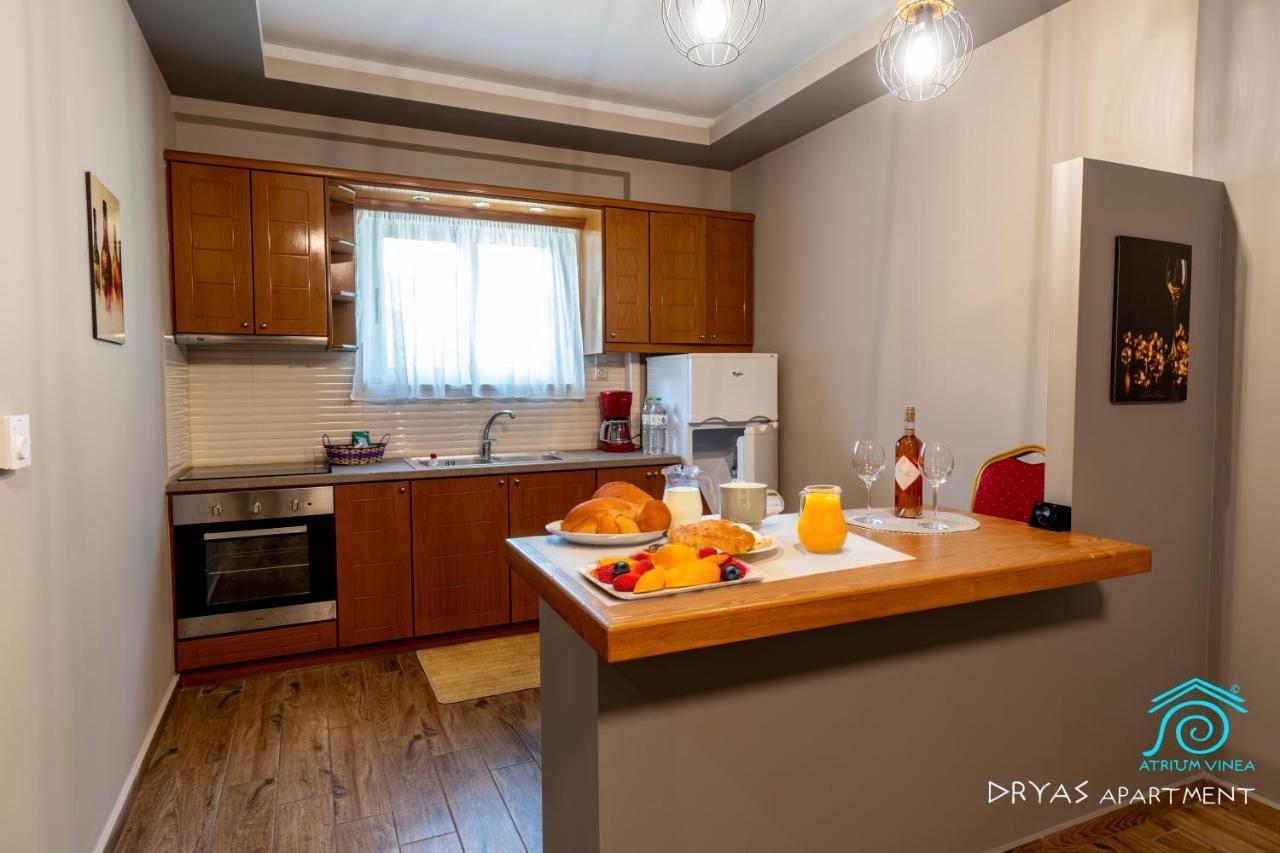 Atrium Vinea Brintziki Winery Apartment Smila Luaran gambar