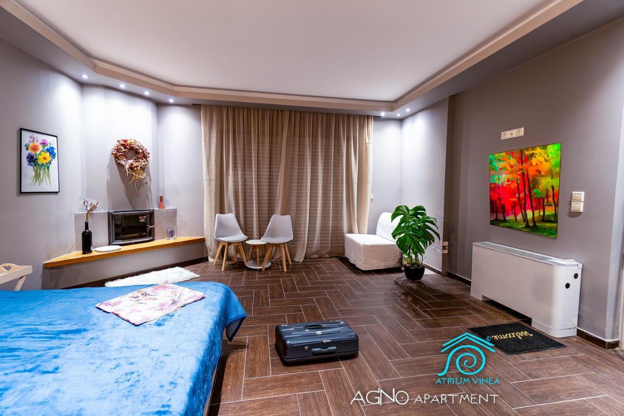 Atrium Vinea Brintziki Winery Apartment Smila Luaran gambar