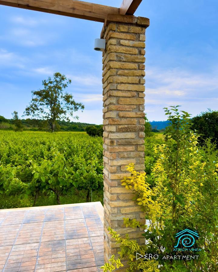 Atrium Vinea Brintziki Winery Apartment Smila Luaran gambar